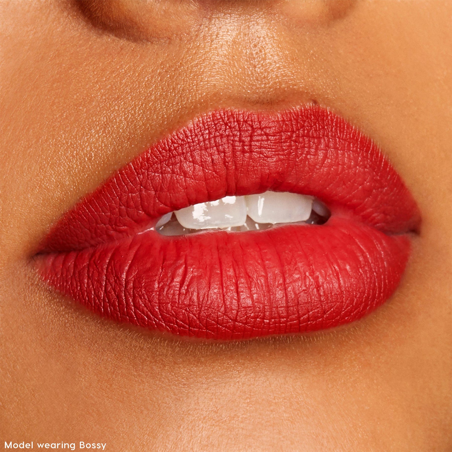 The Lil Box of Lippie Pencils - Gentle Limited Lip Pairing