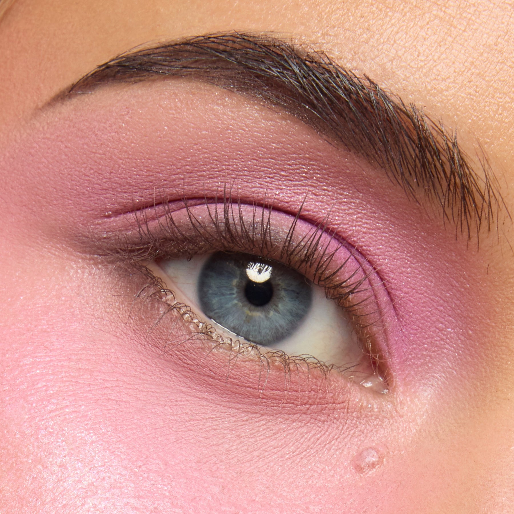 Pink Dreams Collection - Sheer Refined Beauty Discovery